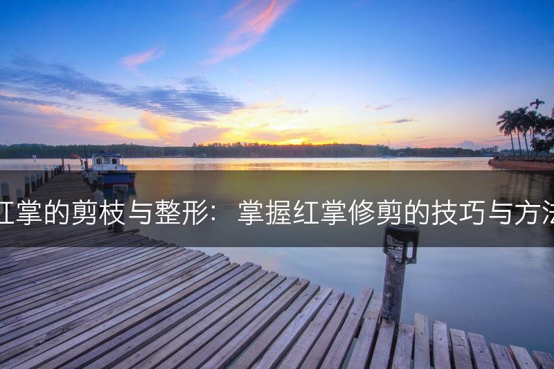 红掌的剪枝与整形：掌握红掌修剪的技巧与方法(图1)