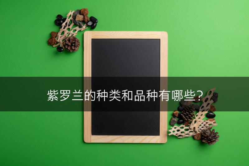 紫罗兰的种类和品种有哪些？(图1)