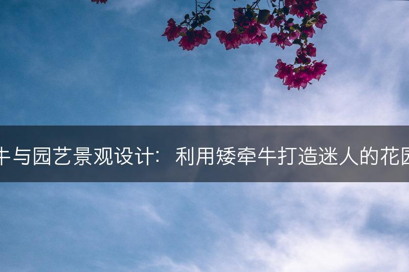 矮牵牛与园艺景观设计：利用矮牵牛打造迷人的花园风景(图1)