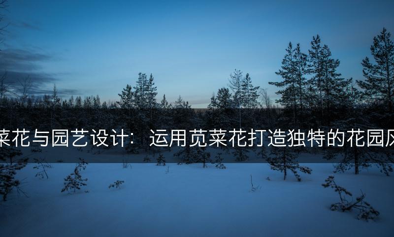 苋菜花与园艺设计：运用苋菜花打造独特的花园风景(图1)