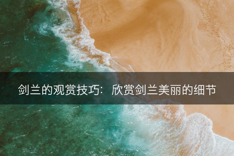 剑兰的观赏技巧：欣赏剑兰美丽的细节(图1)