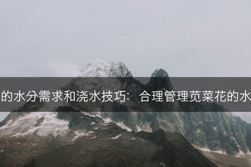 苋菜花的水分需求和浇水技巧：合理管理苋菜花的水分供应(图1)