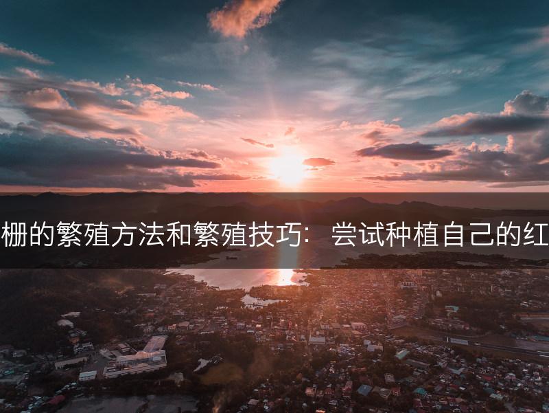 红栅的繁殖方法和繁殖技巧：尝试种植自己的红栅(图1)