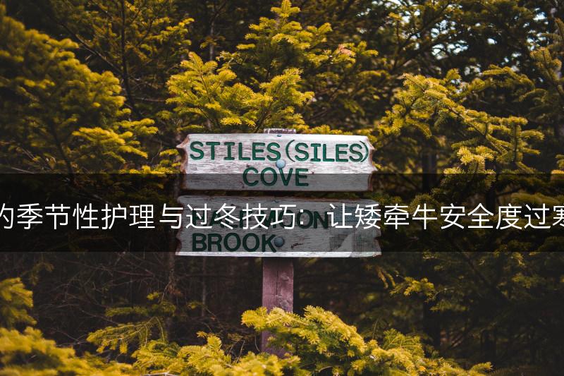 矮牵牛的季节性护理与过冬技巧：让矮牵牛安全度过寒冷季节(图1)
