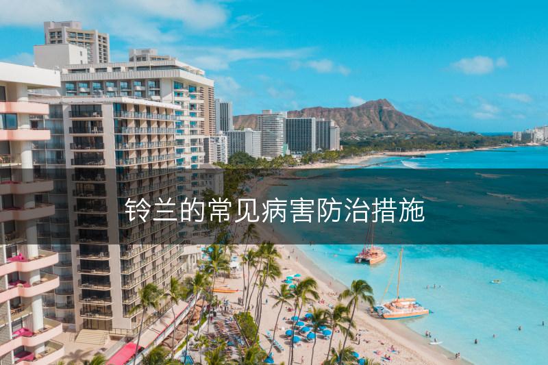 铃兰的常见病害防治措施(图1) 铃兰的常见病害防治措施(图1)