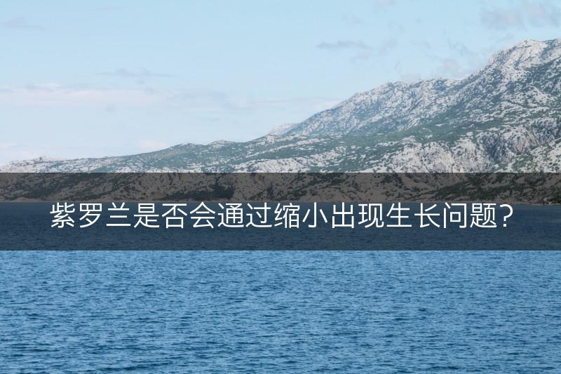 紫罗兰是否会通过缩小出现生长问题？(图1)