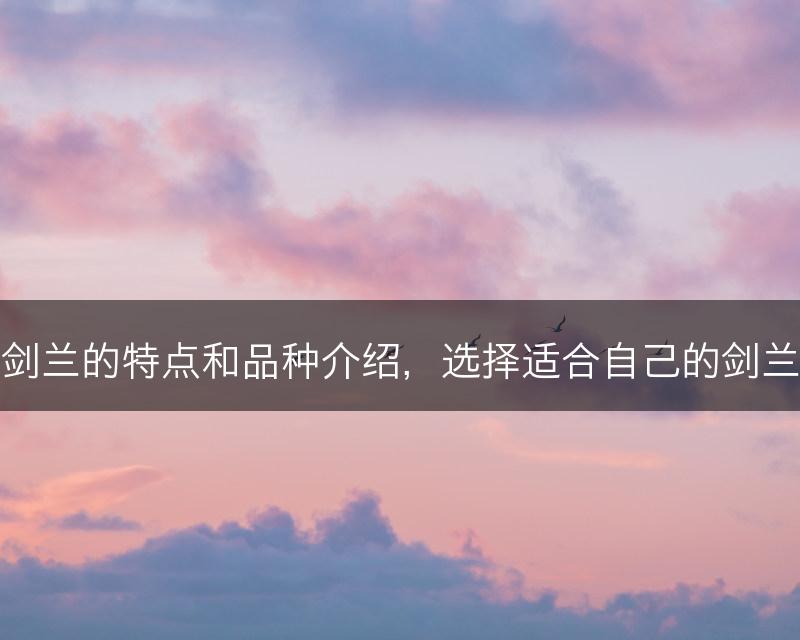 剑兰的特点和品种介绍，选择适合自己的剑兰(图1)