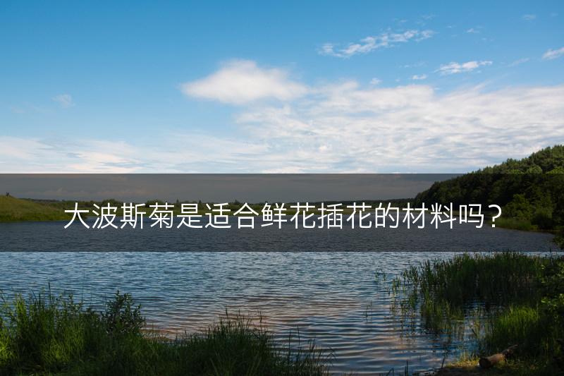 大波斯菊是适合鲜花插花的材料吗？(图1)
