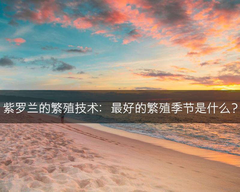 紫罗兰的繁殖技术：最好的繁殖季节是什么？(图1)