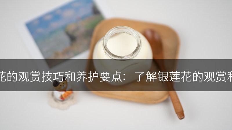 银莲花的观赏技巧和养护要点：了解银莲花的观赏和养护(图1)