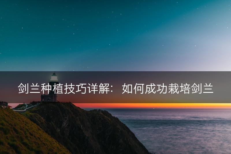 剑兰种植技巧详解：如何成功栽培剑兰(图1)