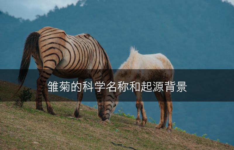 雏菊的科学名称和起源背景(图1) 雏菊的科学名称和起源背景(图1)