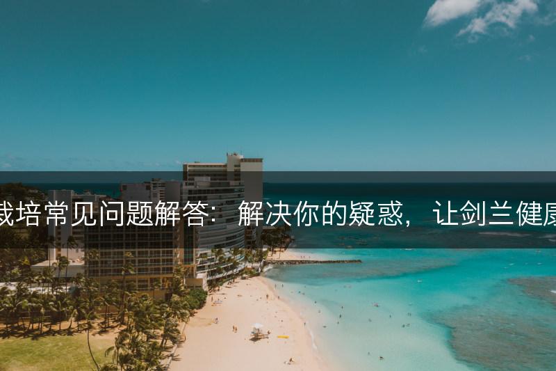 剑兰栽培常见问题解答：解决你的疑惑，让剑兰健康茁壮(图1)