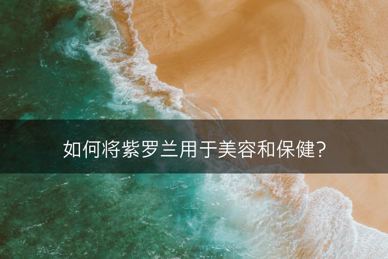 如何将紫罗兰用于美容和保健？(图1)