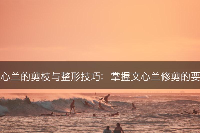 文心兰的剪枝与整形技巧：掌握文心兰修剪的要点(图1)