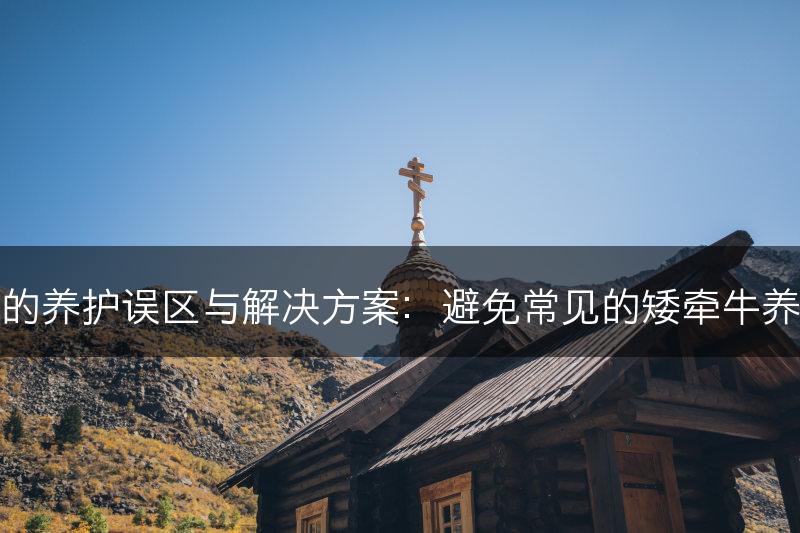 矮牵牛的养护误区与解决方案：避免常见的矮牵牛养护错误(图1)