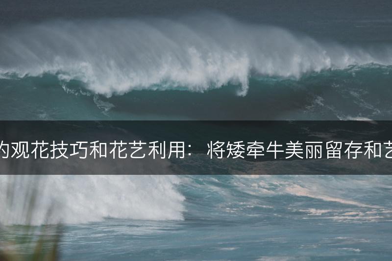 矮牵牛的观花技巧和花艺利用：将矮牵牛美丽留存和艺术表现(图1)