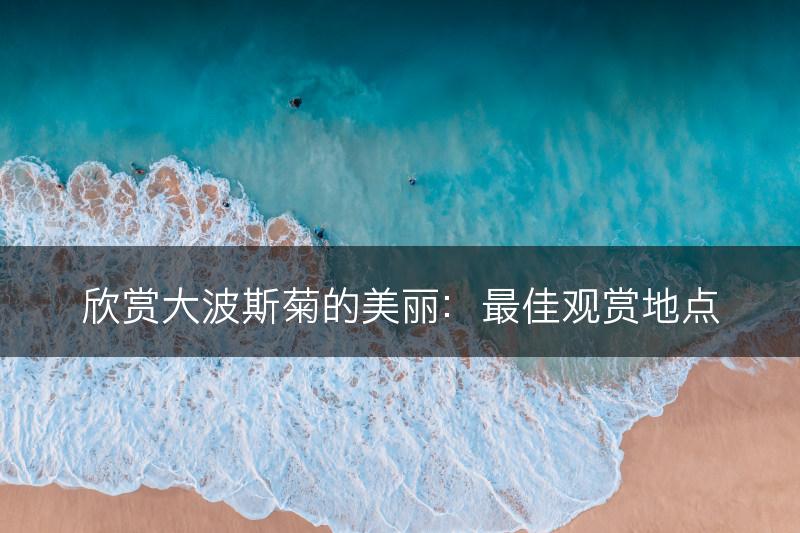 欣赏大波斯菊的美丽：最佳观赏地点(图1)