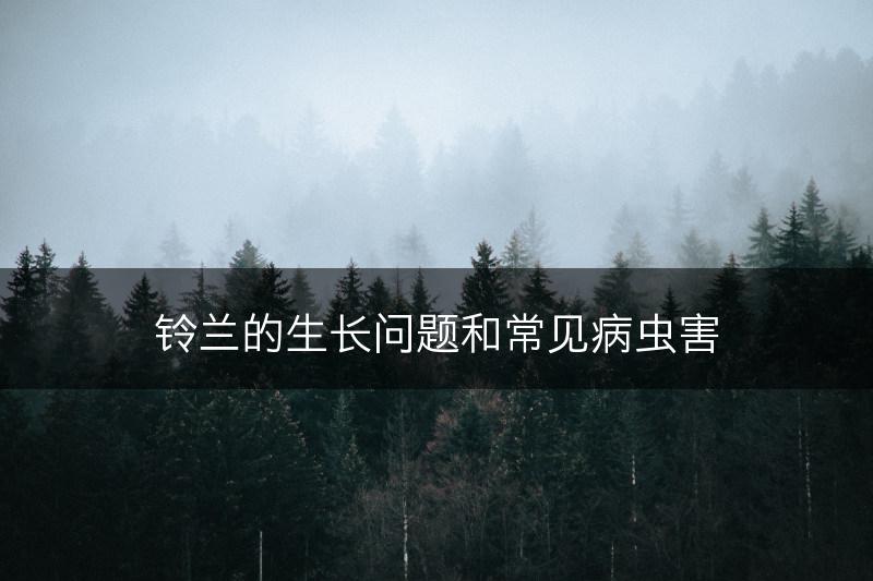铃兰的生长问题和常见病虫害(图1)