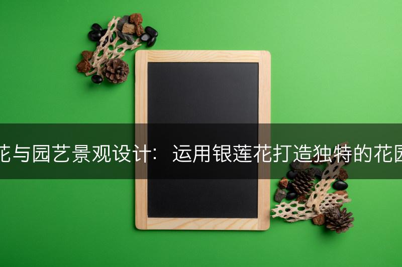 银莲花与园艺景观设计:运用银莲花打造独特的花园风景(图1) 银莲花与园艺景观设计:运用银莲花打造独特的花园风景(图1)
