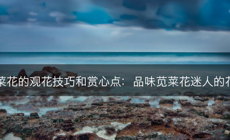 苋菜花的观花技巧和赏心点：品味苋菜花迷人的花香(图1)