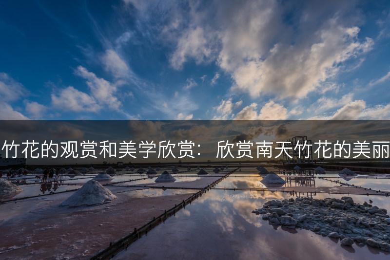 南天竹花的观赏和美学欣赏：欣赏南天竹花的美丽花朵(图1)