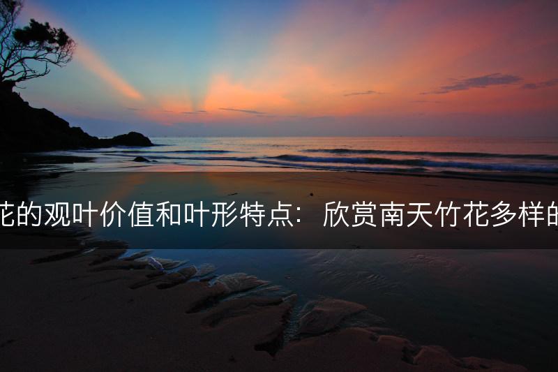 南天竹花的观叶价值和叶形特点：欣赏南天竹花多样的叶子美(图1)