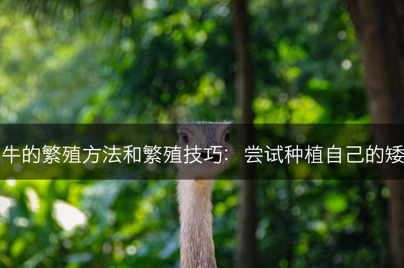 矮牵牛的繁殖方法和繁殖技巧：尝试种植自己的矮牵牛(图1)