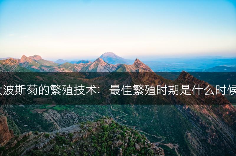 大波斯菊的繁殖技术：最佳繁殖时期是什么时候？(图1)