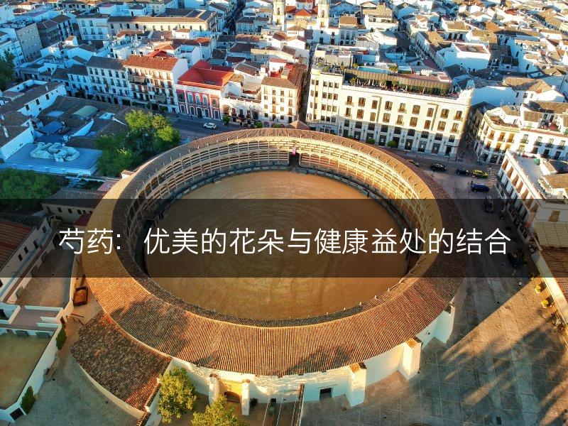 芍药：优美的花朵与健康益处的结合(图1)