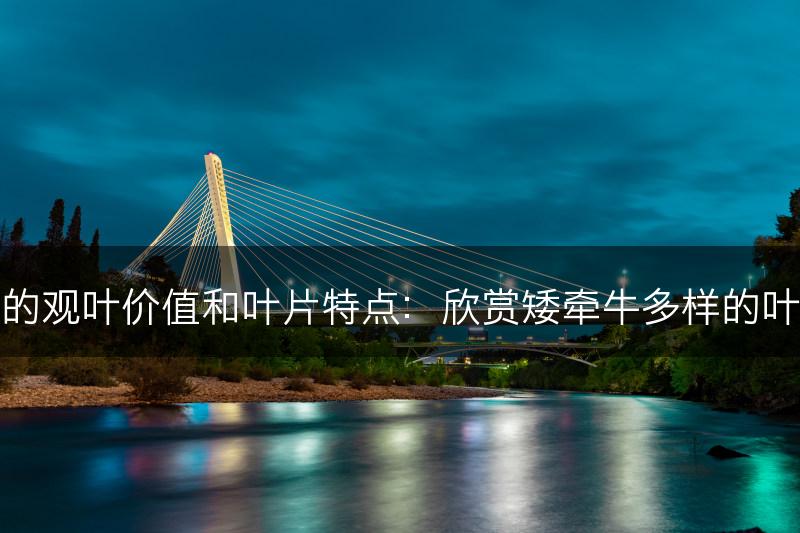 矮牵牛的观叶价值和叶片特点：欣赏矮牵牛多样的叶子形态(图1)