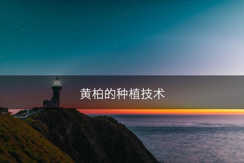 黄柏的种植技术(图1)