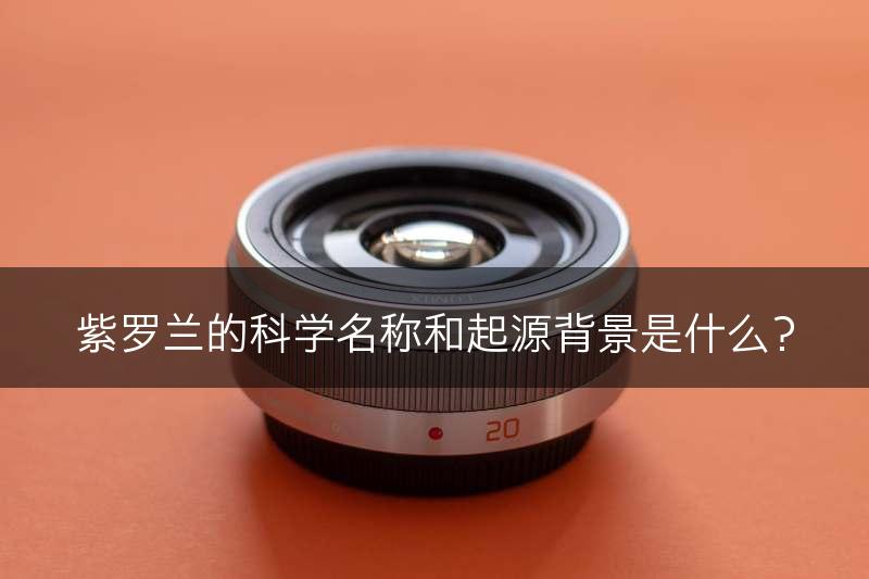 紫罗兰的科学名称和起源背景是什么？(图1)