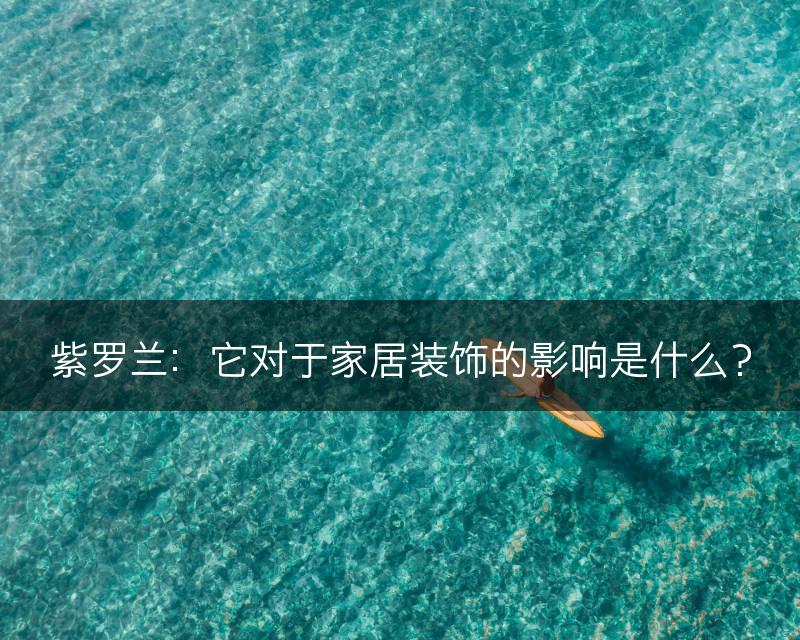紫罗兰：它对于家居装饰的影响是什么？(图1)