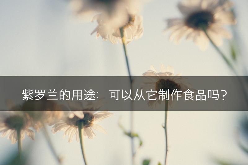 紫罗兰的用途：可以从它制作食品吗？(图1)