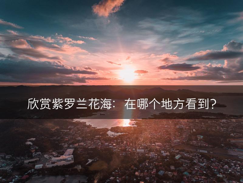 欣赏紫罗兰花海：在哪个地方看到？(图1)