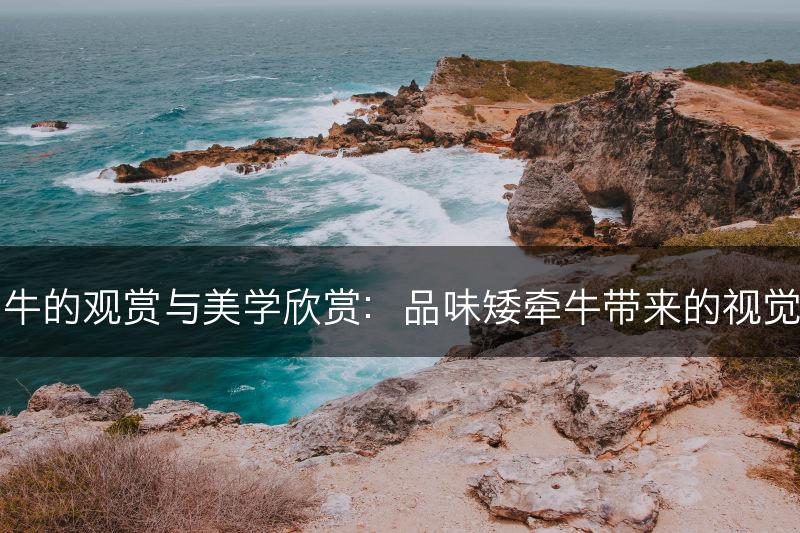 矮牵牛的观赏与美学欣赏：品味矮牵牛带来的视觉享受(图1)