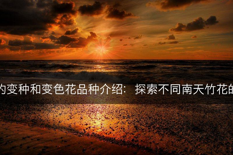 南天竹花的变种和变色花品种介绍：探索不同南天竹花的花色变化(图1)