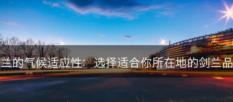剑兰的气候适应性：选择适合你所在地的剑兰品种(图1)