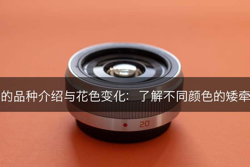 矮牵牛的品种介绍与花色变化：了解不同颜色的矮牵牛品种(图1)