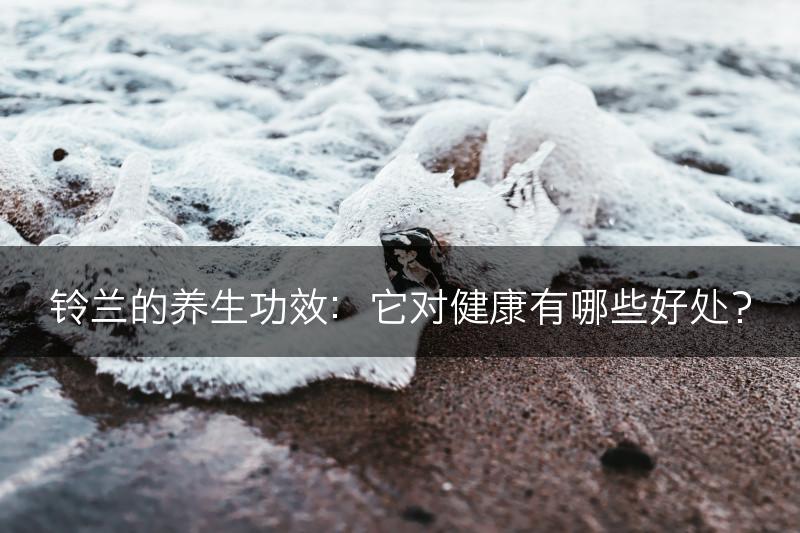 铃兰的养生功效：它对健康有哪些好处？(图1)