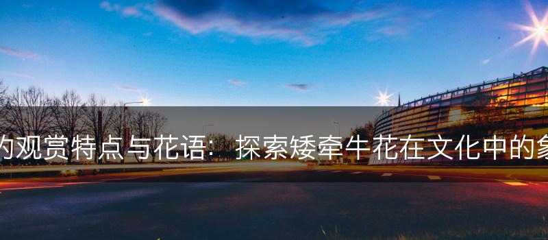 矮牵牛的观赏特点与花语：探索矮牵牛花在文化中的象征意义(图1)