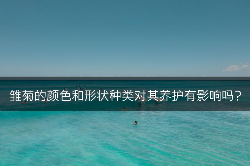 雏菊的颜色和形状种类对其养护有影响吗?(图1) 雏菊的颜色和形状种类对其养护有影响吗?(图1)