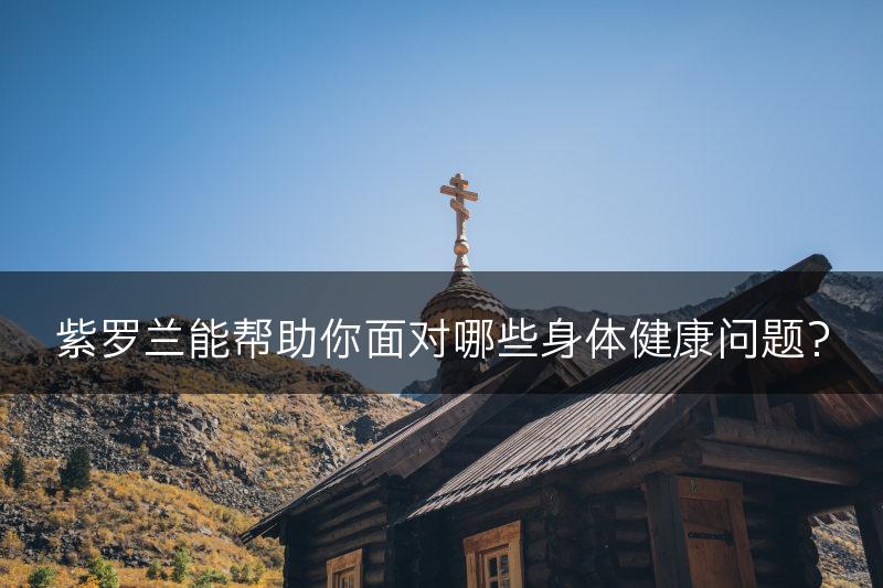 紫罗兰能帮助你面对哪些身体健康问题？(图1)