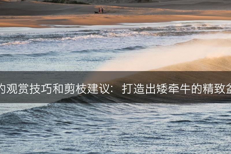 矮牵牛的观赏技巧和剪枝建议：打造出矮牵牛的精致盆景形态(图1)
