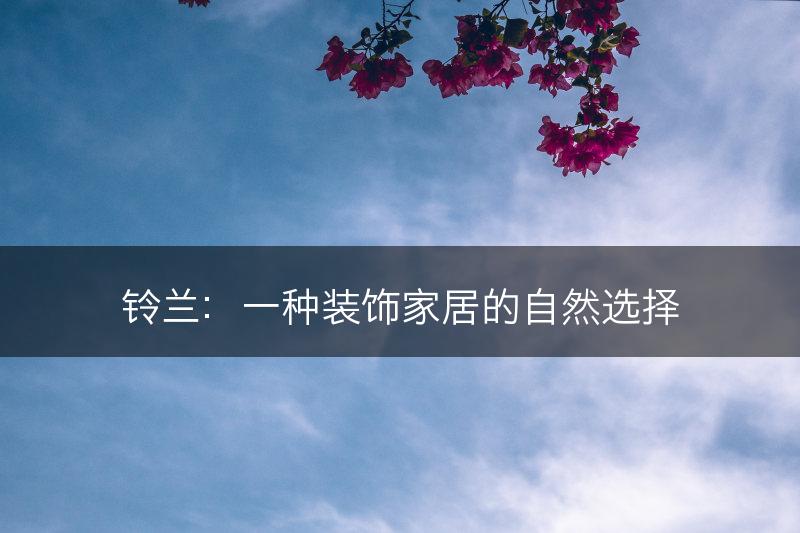 铃兰：一种装饰家居的自然选择(图1)
