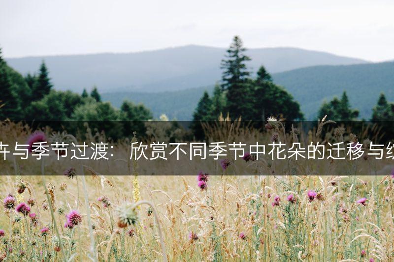 花卉与季节过渡:欣赏不同季节中花朵的迁移与绽放(图1) 花卉与季节过渡:欣赏不同季节中花朵的迁移与绽放(图1)