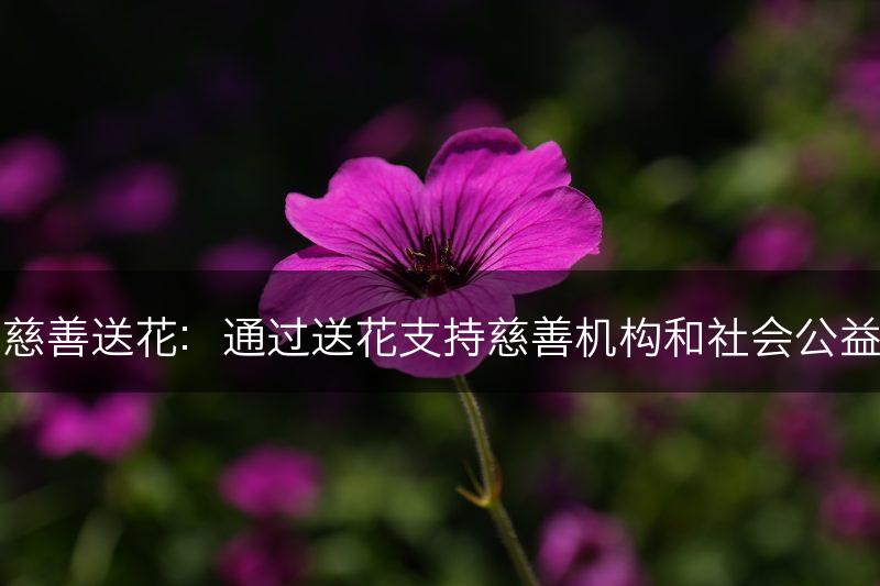 慈善送花：通过送花支持慈善机构和社会公益(图1)