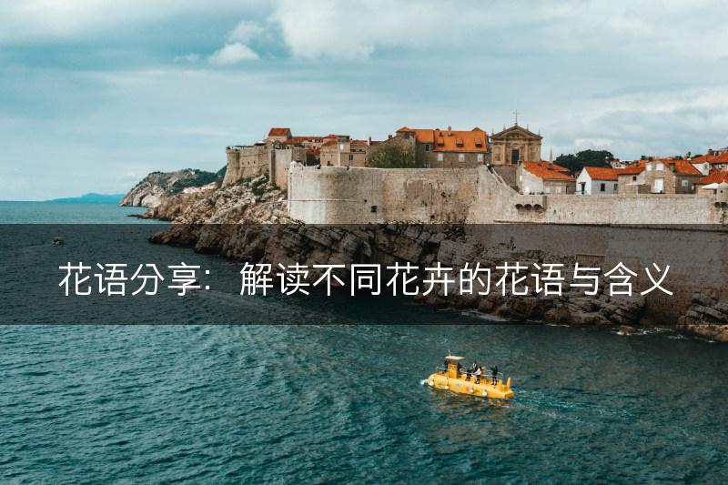 花语分享：解读不同花卉的花语与含义(图1)