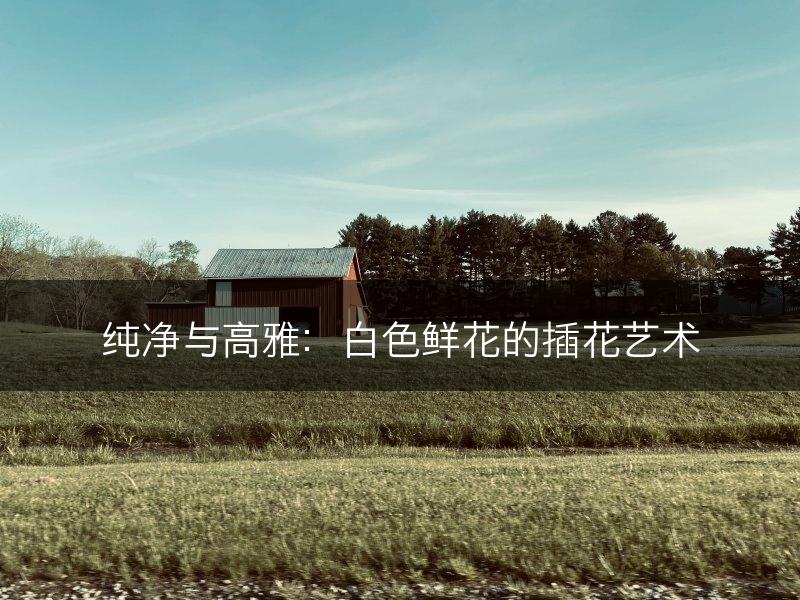 纯净与高雅：白色鲜花的插花艺术(图1)